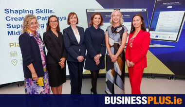 ReSHAPE could transform how Ireland tackles skills shortages
