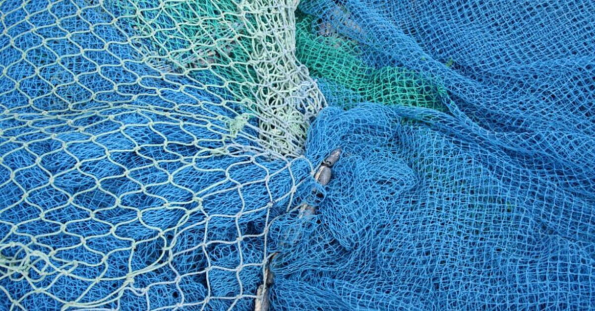 Salmon poaching fears escalate in Donegal as officials warn of growing threat
