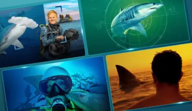 SharkFest 2026: New Nat Geo Shark Documentaries
