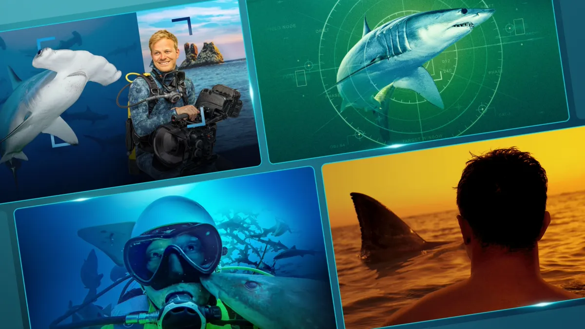 SharkFest 2026: New Nat Geo Shark Documentaries