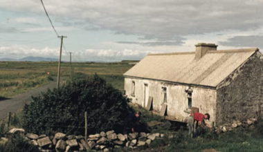 Planting hope on Ireland's edge