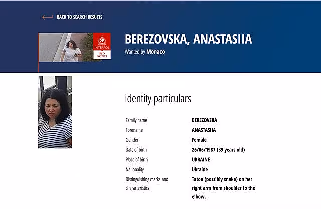 A screenshot of the Interpol webpage showing a Red Notice for the suspect in the Monaco bombing