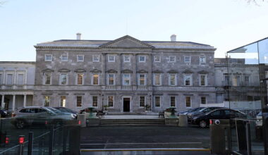 TD helps disarm man attempting to harm himself outside Dáil