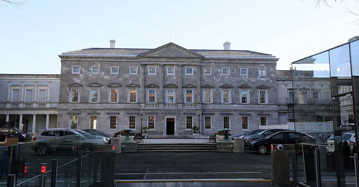 TD helps disarm man attempting to harm himself outside Dáil