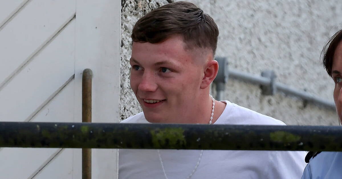 Teenager sentenced for violent killing of man in Kildare after a row on a bus