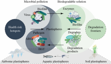 Plastisphere paradox: How microplastic garbage patches could hold the key to their own cleanup