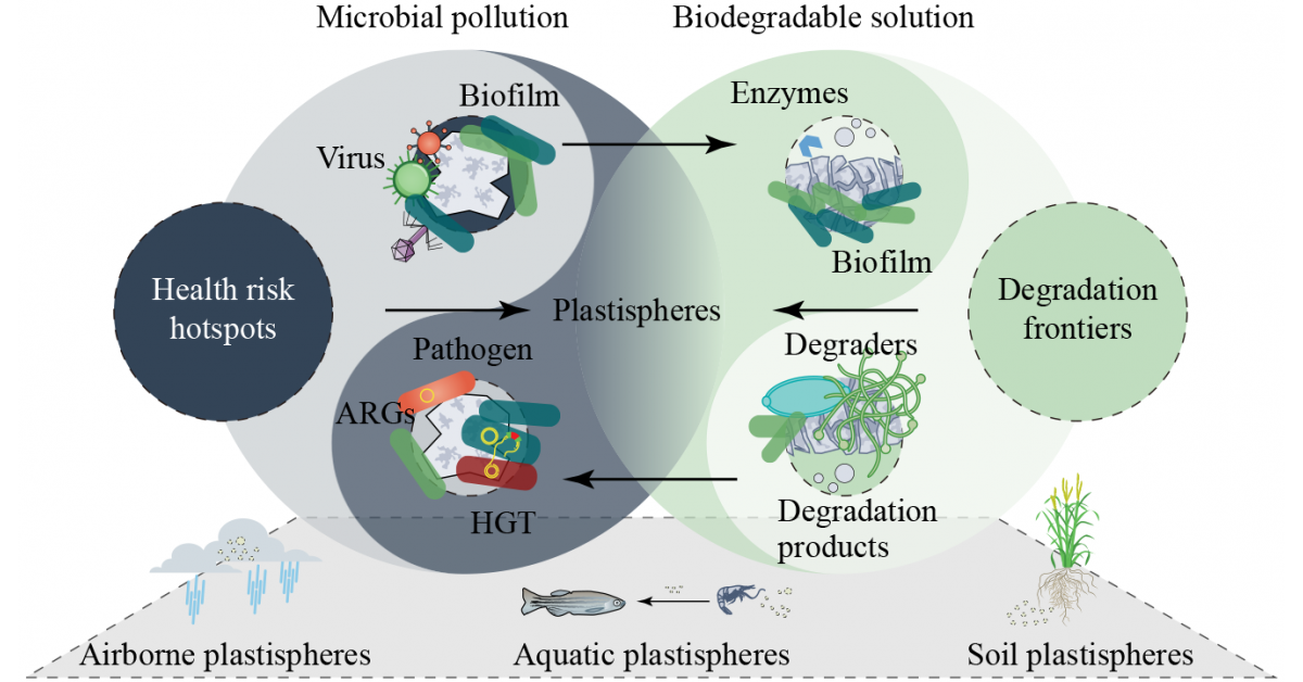 Plastisphere paradox: How microplastic garbage patches could hold the key to their own cleanup