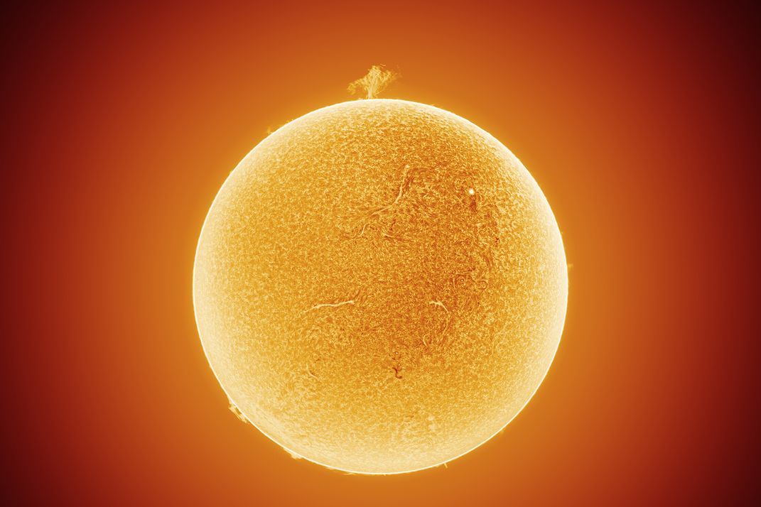 A solar prominence erupting from the surface of the sun