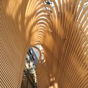 © Daici Ano Timber Studio / Koichi Takada Architects - Image 3 of 12