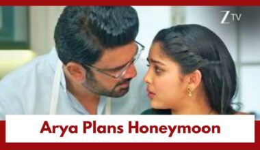 Tumm Se Tumm Tak upcoming Twist: Arya plans a honeymoon in Switzerland; Anu troubled by haunting questions 1