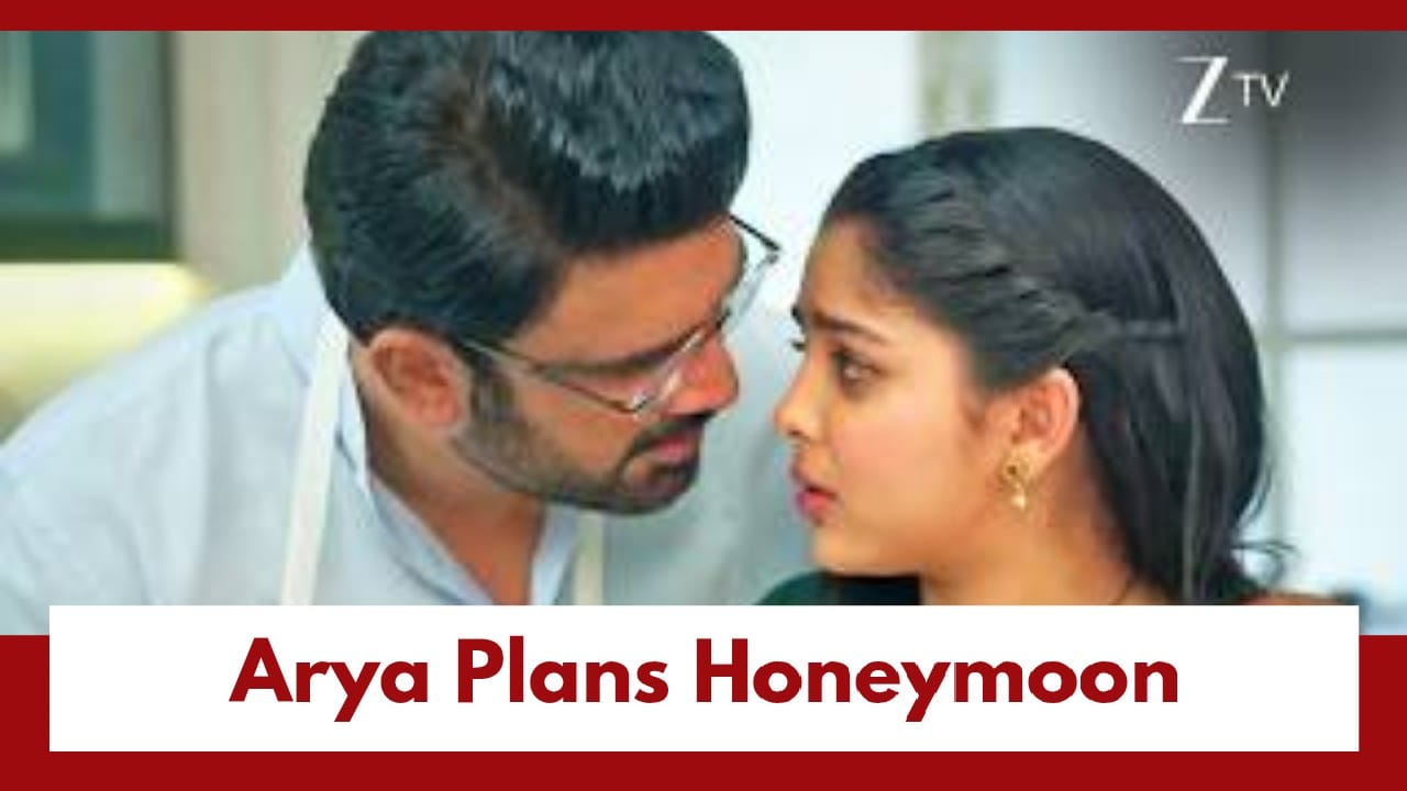 Tumm Se Tumm Tak upcoming Twist: Arya plans a honeymoon in Switzerland; Anu troubled by haunting questions 1