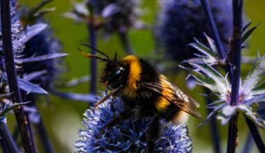 GALLERY: Tullamore Camera Club captures tiny wonders and scenic views