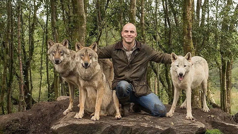 Wild Ireland roars into world's top 10% attractions