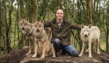 Wild Ireland roars into world's top 10% attractions