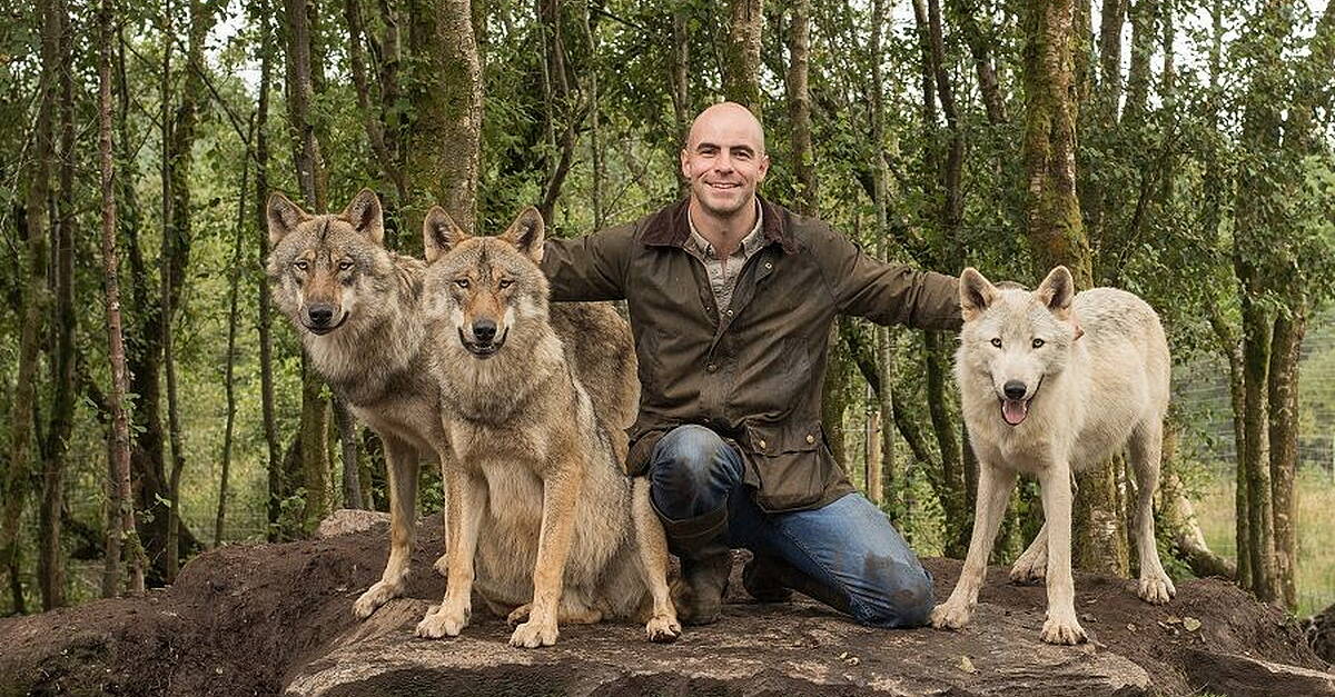 Wild Ireland roars into world's top 10% attractions