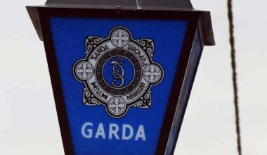 Woman (55) who died in Co Laois assault known to man arrested