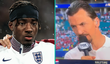 Zlatan Eviscerates England Star On US TV After Awful World Cup Display