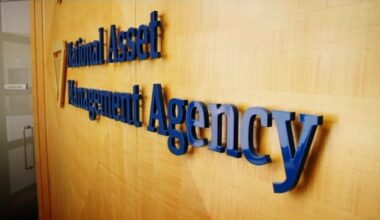 NAMA: The developers, the banks and the fallout