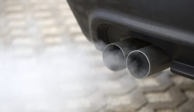 Calls for 'full cost review' into Govt's carbon tax plans