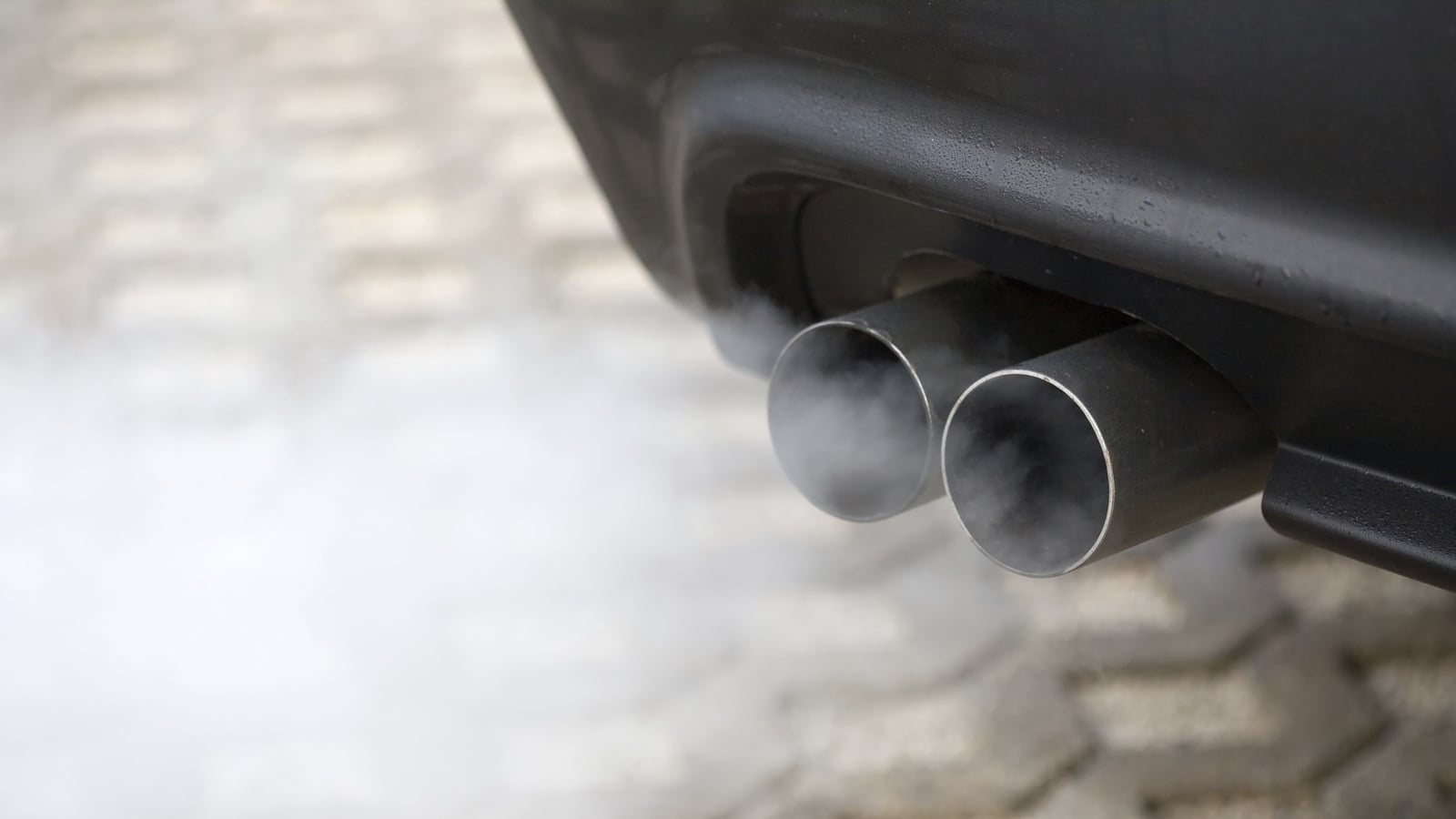Calls for 'full cost review' into Govt's carbon tax plans