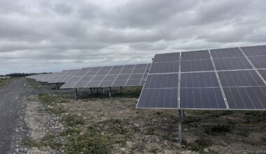 Heatwave boosted solar supply to grid in July