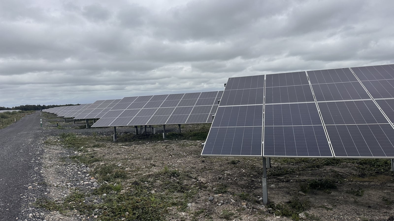 Heatwave boosted solar supply to grid in July