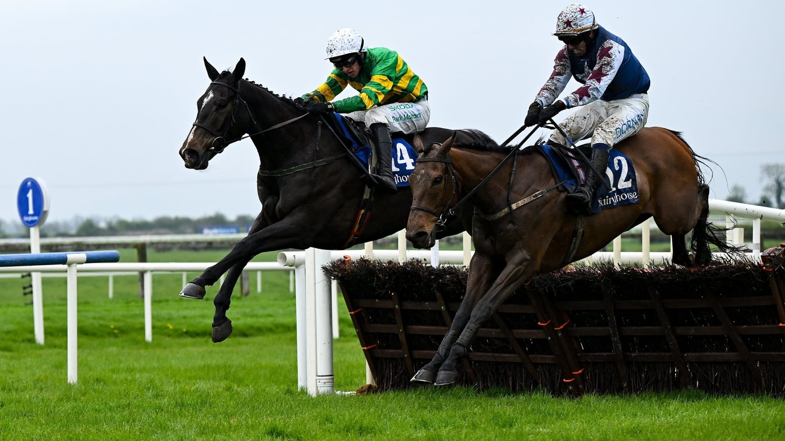Sean Flanagan shines on Grann's Boy at Galway