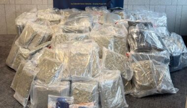 Two arrested as drugs worth €8.5m seized in Meath, Louth