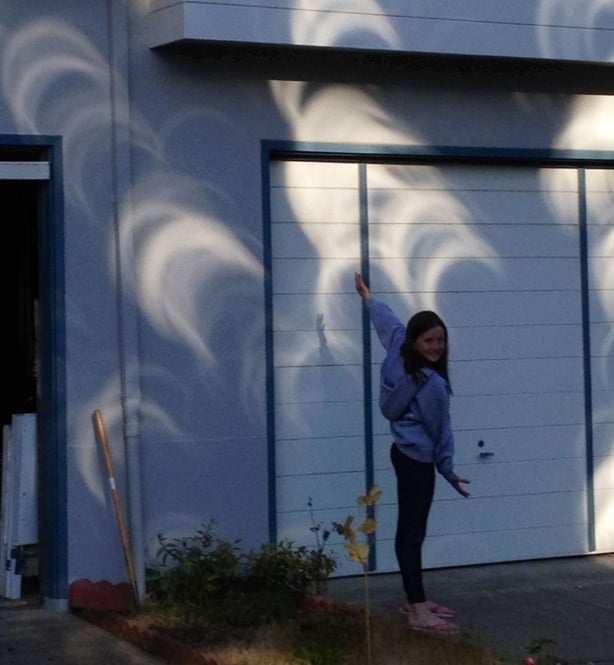 Crescent images of a partially eclipsed Sun made through gaps in a nearby tree. Image: J & F Flannery