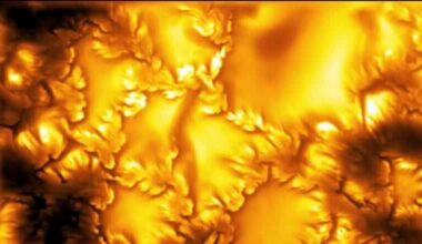 Swirling, vortex-like patterns observed on Sun's surface