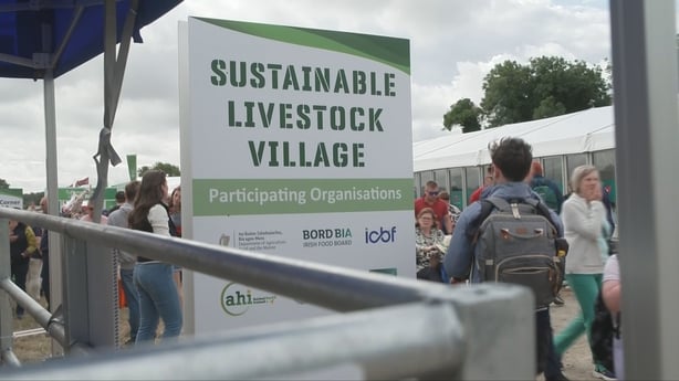 Tullamore Show in Co Offaly