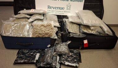 Close to €1m of cannabis, meth seized at Dublin Airport