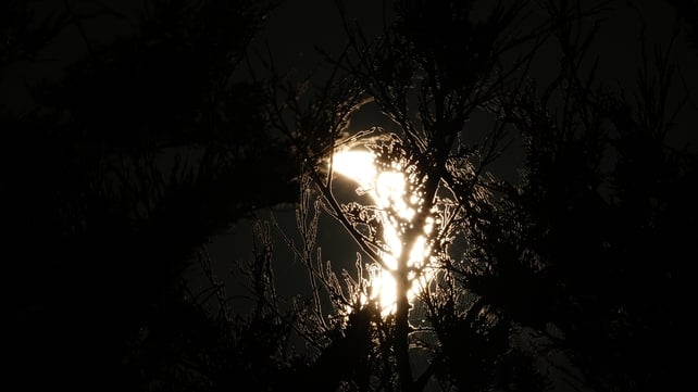 The solar eclipse as seen from Morriscastle, Co Wexford