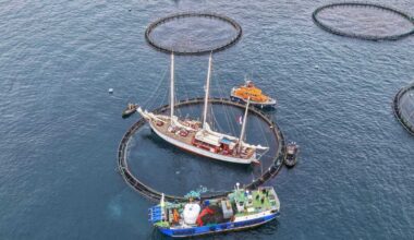 25 rescued after sailing vessel hits Mayo fish farm
