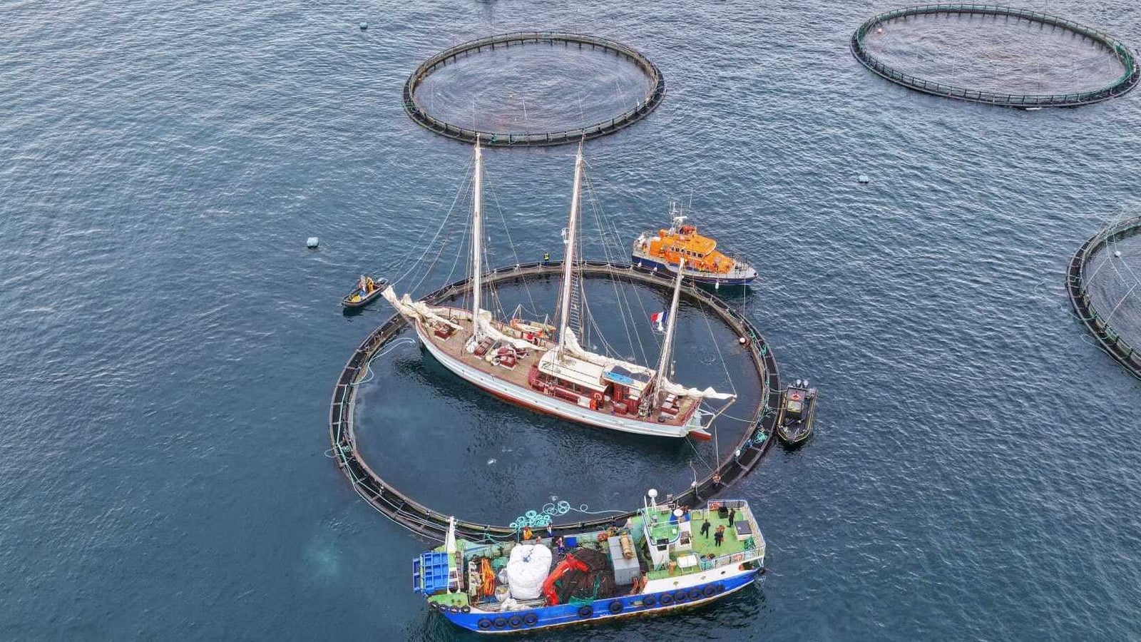 25 rescued after sailing vessel hits Mayo fish farm