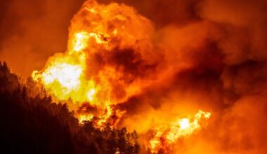Evacuations across EU amid 'extreme' wildfire conditions