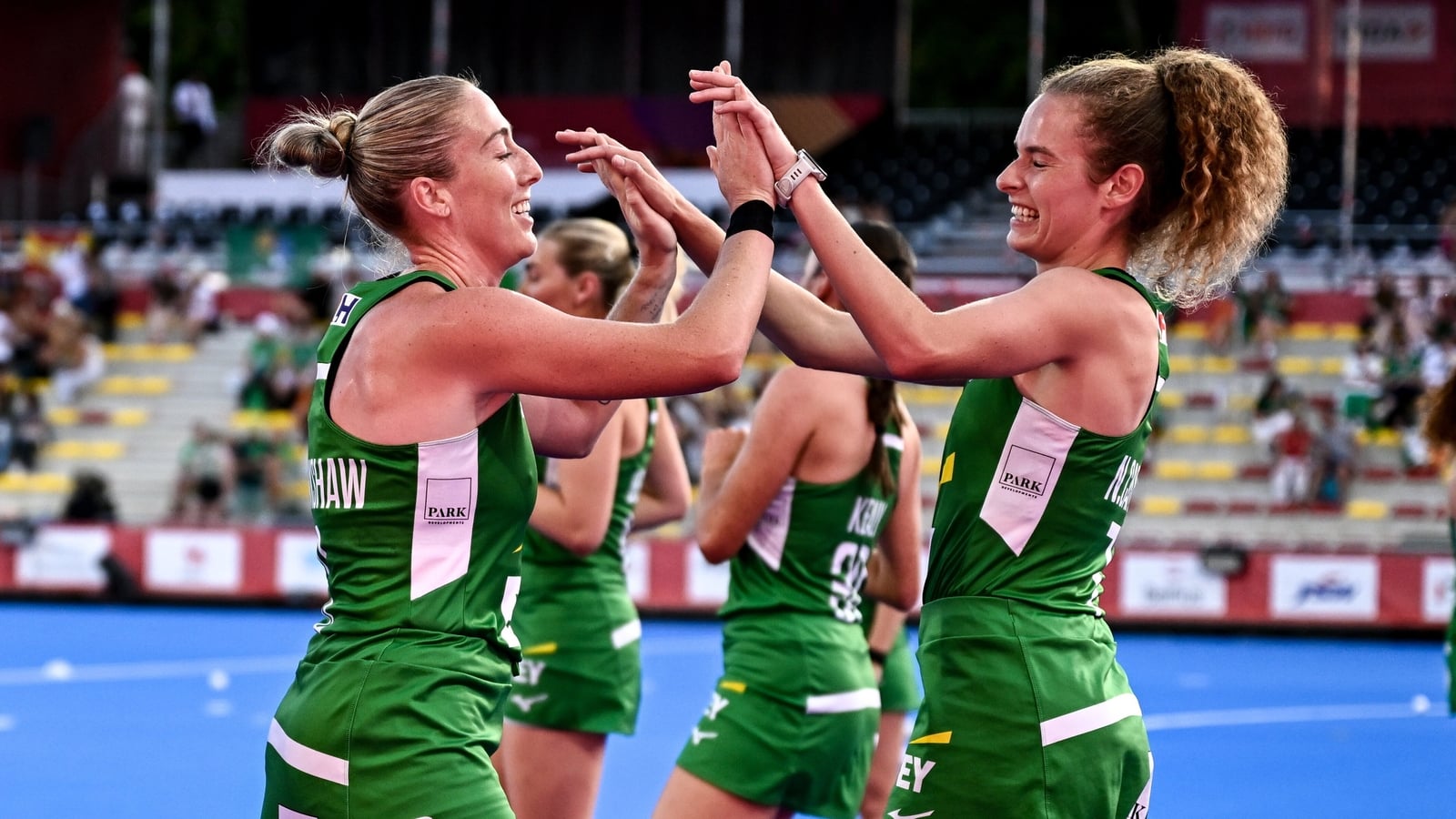 Ireland's World Cup hopes resting on New Zealand rebound