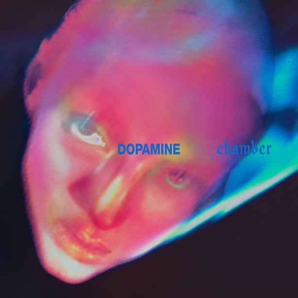FONTAINES DC Dopamine Chamber album artwork