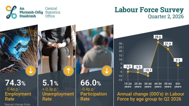 CSO Infographic depicting the breakdown of the labour force