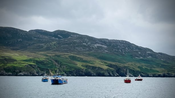 Fishing boats moored in an inlet with a headland beyond