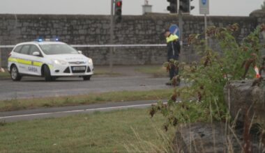 Woman, 20s, dies in Dublin road crash
