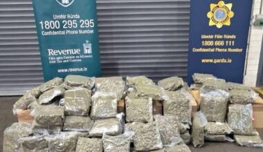 Arrest after €1.6m worth of cannabis seized in Co Louth