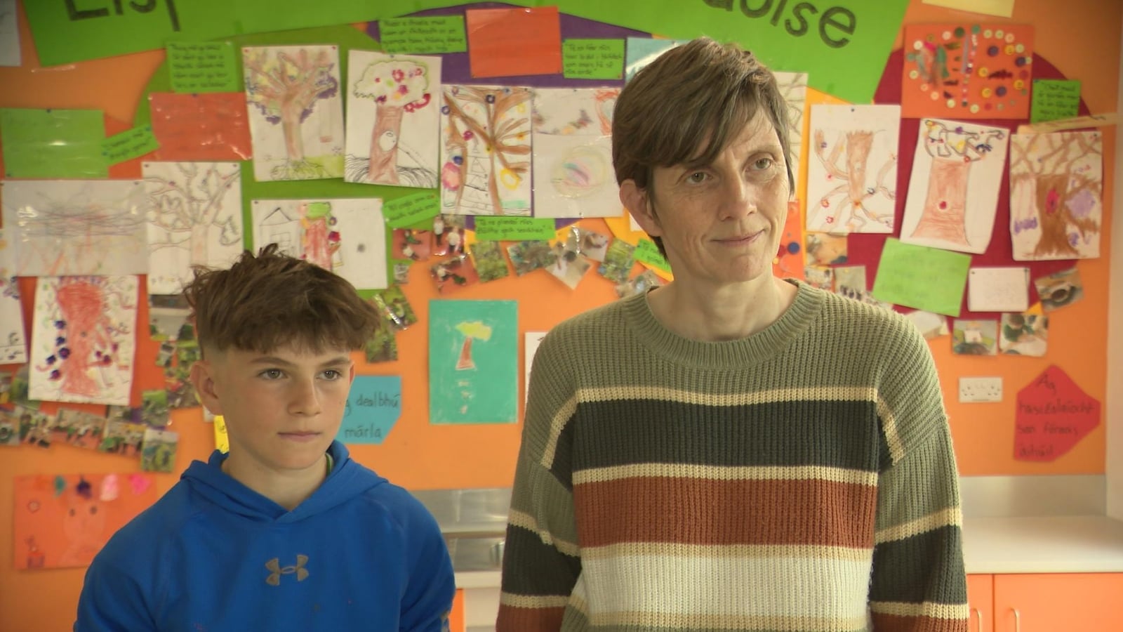 Parents worried over 'void' of Gaelcholáistí in Midlands
