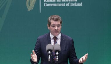 'Period of uncertainty' as AI enters Irish economy: Burke