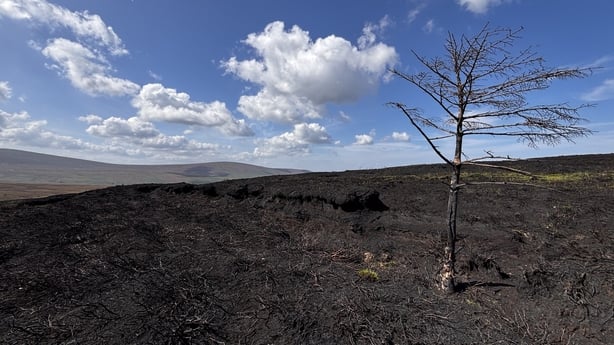 Scorched earth in the Wicklow Mountains