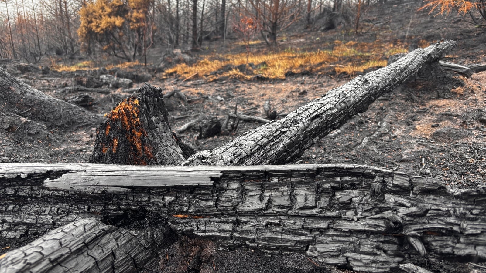 Irish landscapes damaged by fires