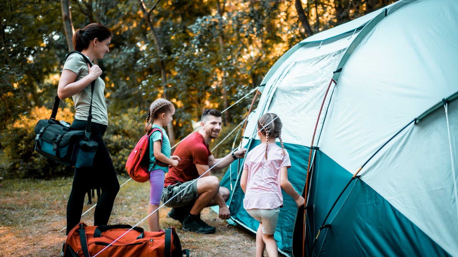 Family camping across Leinster: our 2026 season reviewed