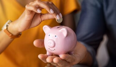 How will the State's savings and investment account work?