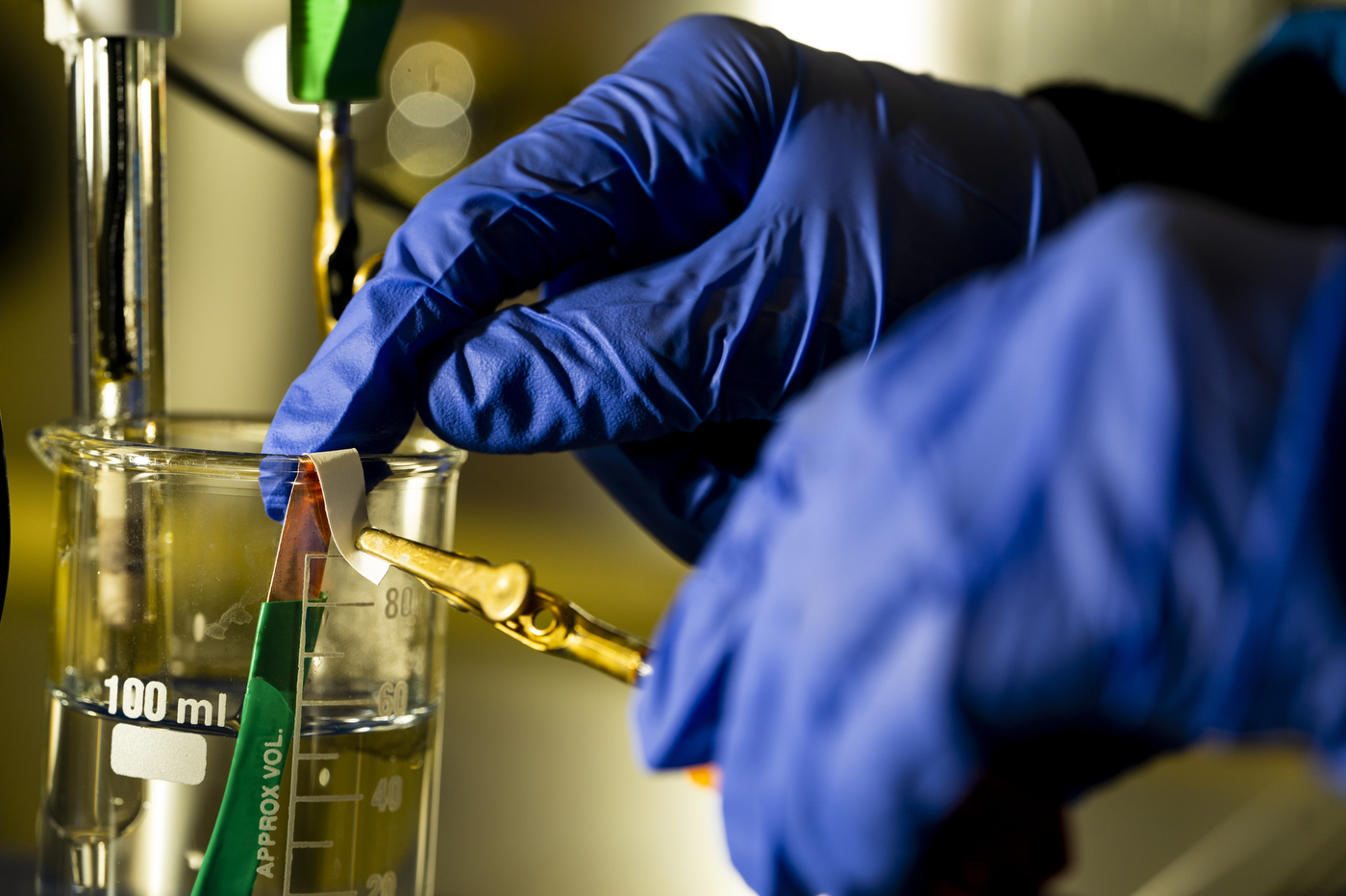 Northeastern postdoctoral researcher Pardis Sadeghi works with a sensor in a laboratory.