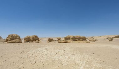 Researchers Find Shark Graveyard—in the Desert
